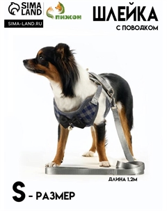 Комплект амуниции с мягкой шлейкой, S, поводок 120 х 1 см, ОШ 20-40 см, ОГ 30-44 см, серый Пижон