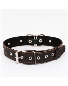 Ошейник кожаный усиленный капроном с полукольцом, 62 х 3,5 см, ОШ 33-60 см, коричневый Пижон