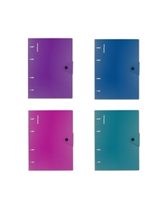 Тетрадь на кольцах А5 80 листов в клетку Glance Vivid, пластиковая обложка, блок офсет 100% белизна, МИКС Erichkrause