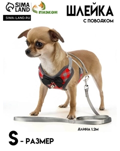 Комплект амуниции с мягкой шлейкой, S, поводок 120 х 1 см, ОШ 20-40 см, ОГ 30-44 см, красный Пижон