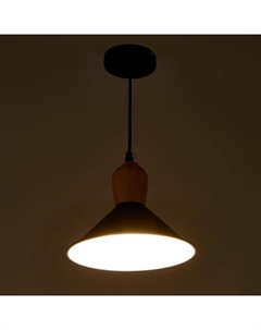 Светильник 2034831/1 E27 40 Вт черный 22×22×21 см Bayerlux