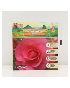 Бегония махровая «Розовая», луковицы, р-р 4/5, 5 шт. Сады дедушки никиты