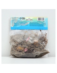 Лилия Восточная «Дабл Мэджик Стар», луковица в пакете с перфорацией, р-р 12/14, 3 шт. Сады дедушки никиты