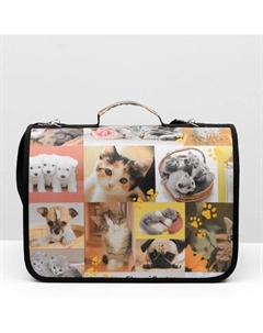 Сумка - переноска для животных с принтом, 40 х 25 х 28 см микс Пижон