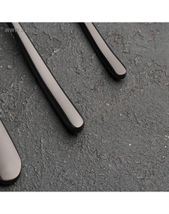 Набор столовых приборов из нержавеющей стали «Джентри», 4 предмета, цвет чёрный Magistro