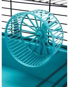 Клетка для грызунов «» складная, 38×27×27 см (домик, миска, колесо), бирюзовая Пижон