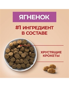 Сухой корм medium/maxi для взрослых собак ягненок/рис, 10 кг Purina one