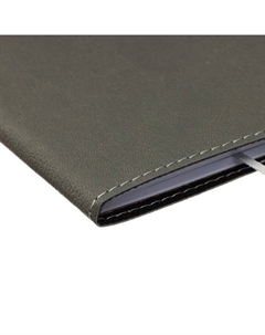 Дневник школьный для 1-11 классов Grey, мягкая обложка, искусственная кожа, термо тиснение, ляссе, 80 г/м² Devente