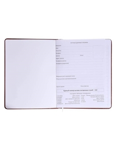 Дневник школьный для 1-11 классов «Герб», твёрдая обложка, искусственная кожа, коричневая обложка, ляссе, 80 г/м² Devente