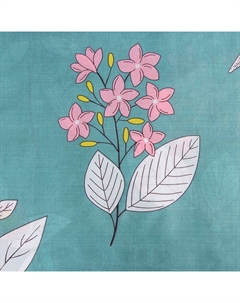 Постельное бельё 2 сп "Природа" 173*215см, 175*214см, 50*70см-2шт, 60г/м2, микрофибра Экономь и я