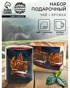 Подарочный набор «23 февраля», чай чёрный со вкусом лимона 50 г., кружка 300 мл. Фабрика счастья