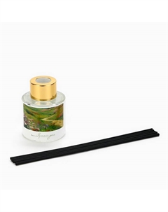 Диффузор ароматический палочки, ароматизатор для дома «Аромадиффузор: Природа», 3 шт., 50 мл. See you home