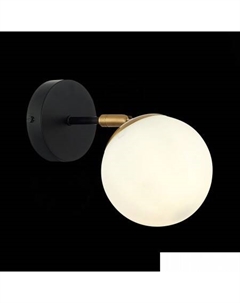 Спот SLE220401-01 Evoluce