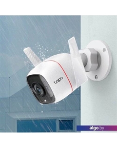 IP-камера C310 Tp-link