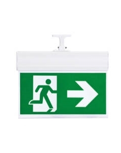 Светильник аварийный ЭРА DPA-103-1-20 / Б0044392 Эра