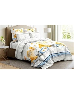 Комплект постельного белья Кошачья правда Бязь сем 50x70 / 9572-1 Ночь нежна