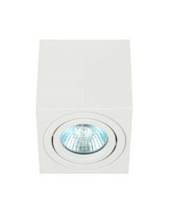 Потолочный светильник ЭРА OL22 WH / Б0054394 Эра