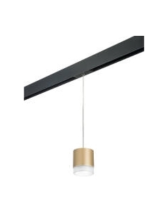 Трековый светильник Lightstar Rullo PRORP349080