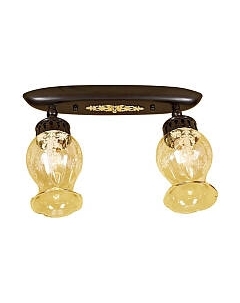 Спот Метафора CL413121 Citilux