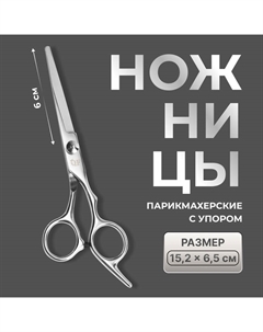 Ножницы парикмахерские с упором, лезвие — 6 см, серебристые Qf
