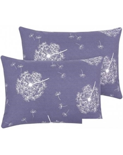 Постельное белье Невесомость 203 (50x70, 2шт) Артпостель