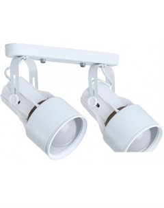 Спот Lyra Bianco A6252PL-2WH Arte lamp