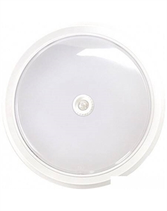 Светильник-тарелка ЖКХ СПБ-2Д-Круг 4690612020709 In home