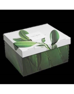 Коробка подарочная Дарите счастье Листья / 6987643