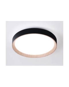 Потолочный светильник Ambrella FZ1324