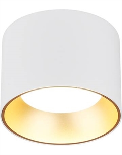 Точечный светильник Ambrella TN52882 SWH/SGD