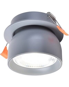 Точечный светильник FAVOURITE 4512-1C Favourite