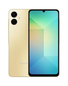 Смартфон Samsung Galaxy A06 SM-A065F 4GB/128GB (SM-A065FZDGCAU) золотистый