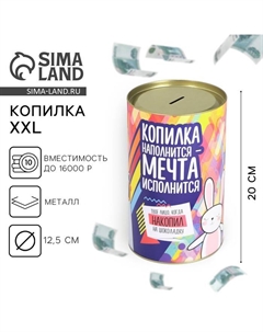 Копилка XXL «На исполнение мечты», 20×12.5 см Сима-ленд