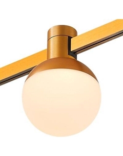 Трековый светильник ST Luce Farm ST815.246.05 St luce