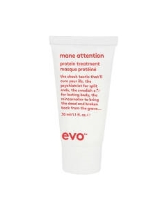 Бальзам для волос Mane Attention Protein Treatment Укрепляющий протеиновый Evo
