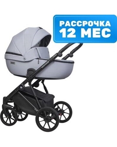Детская универсальная коляска Riko Montana Ecco 2 в 1