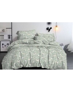 Комплект постельного белья Бояртекс № 229-5 (И) (N) 2.0 с европростыней