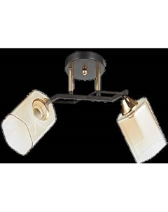 Потолочный светильник Aitin-Pro НПБ 02-2x60-101 /т6286/2 Aitin-pro