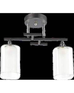 Потолочный светильник Aitin-Pro НПБ 02-2x60-101 / 5019/2 Aitin-pro