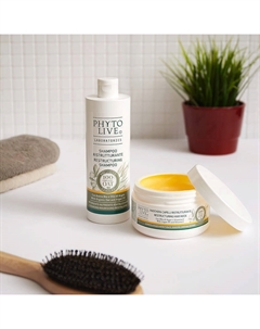 Шампунь для сухих волос восстанавливающий с органическим овсом и аргановым маслом 400 Phyto live