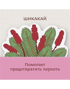 Шампунь аюрведический Ним и Шикакай с протеинами сои Neem & Shikakai Ayurvedic Shampoo Indibird