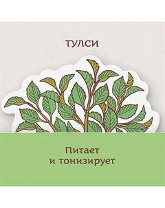 Шампунь аюрведический Готу Кола и Тулси с протеинами шелка Gotu Kola & Tulsi Ayurvedic Shampoo Indibird