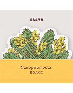 Шампунь аюрведический Амла и Брингарадж с протеинами кератина Amla & Bringaraj Ayurvedic Shampoo Indibird