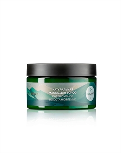 Маска для волос Интенсивное восстановление Алтайская береза Altai Birch Hair Mask Ecocraft