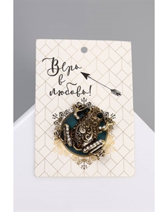 Брошь «Лягушка» цвет МИКС Qf