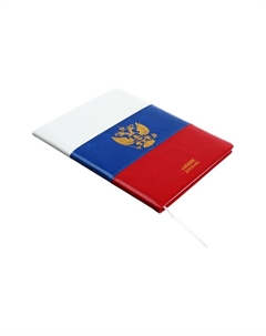 Дневник школьный для 1-11 классов, «Я ОК», искусственная кожа Devente