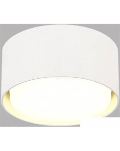 Спот ST164.502.01 St luce