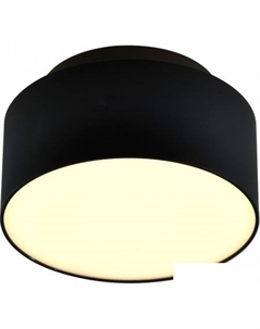 Спот ST166.442.17 St luce