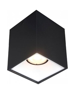 Спот ST168.452.01 St luce