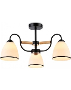 Люстра средней высоты TR TR3033241 Ambrella light